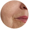 Anti-Aging Routine
