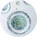 Dimethicone