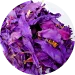 Blue Lotus Extract